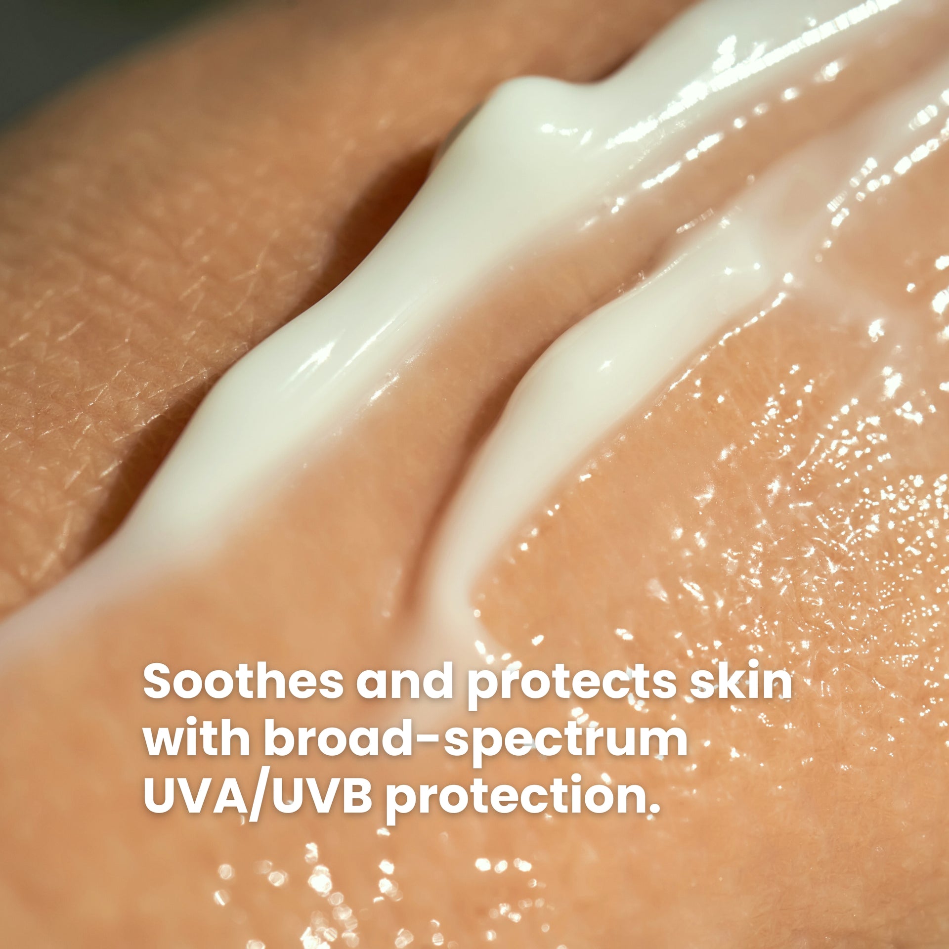 Aloe Sun: Soothe and Protect with Nature's Touch