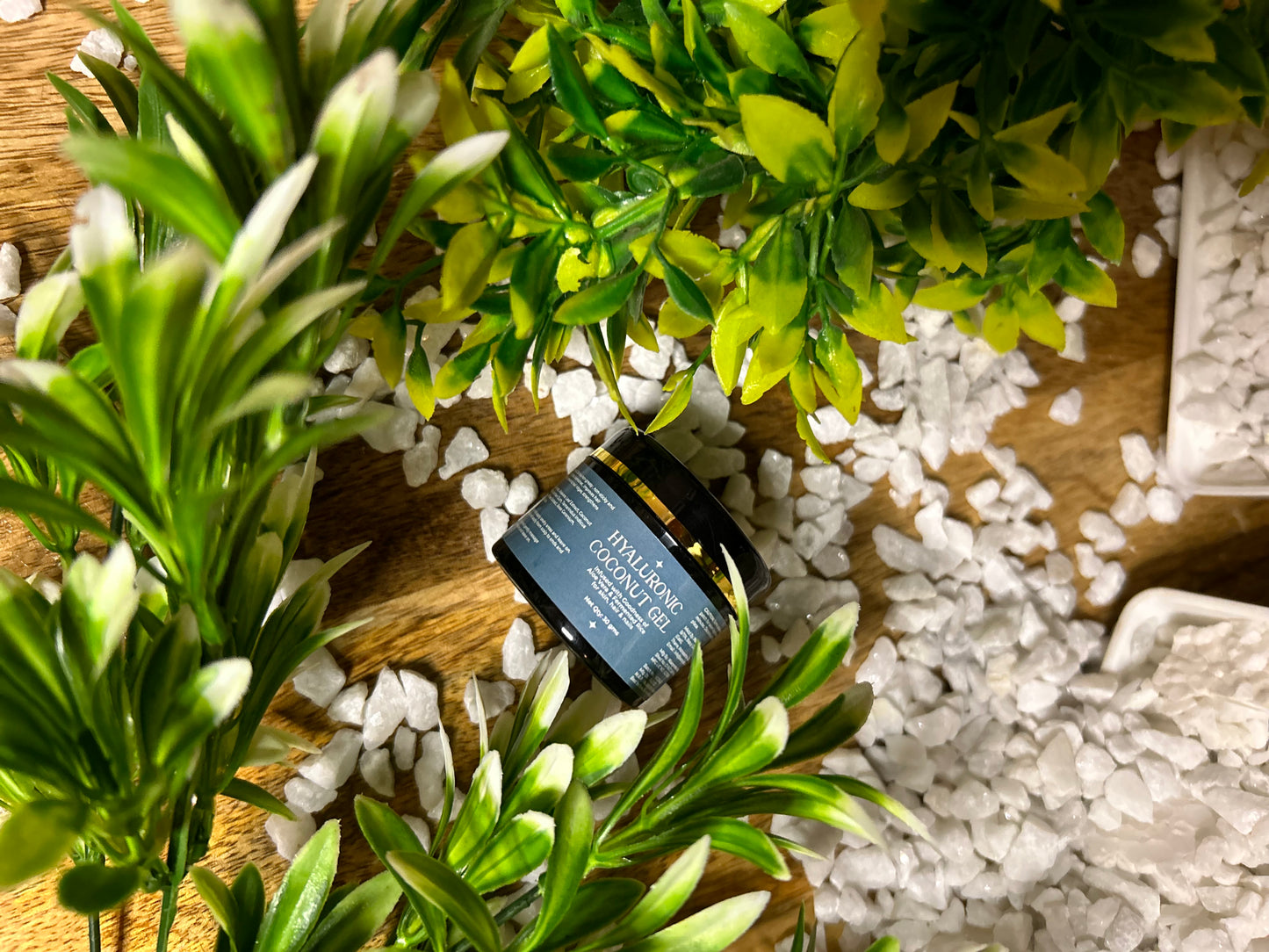 Hyaluronic Coconut Gel- For Oily Skin